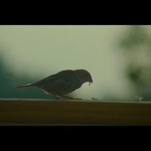 Meet your Posher, Lucky